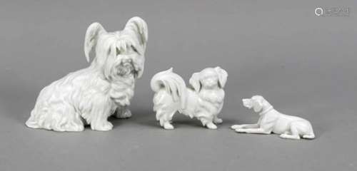 Three Dogs, 20th C., Yorkshire Terrier, Augarten, Vienna, L. 15 cm, Pekinese, Augarten,Vienna, L.