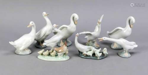 Nine domestic bird figures, Nao Lladro Spain, late 20th century, 7 different geese, 1goose with cubs