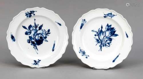 Two plates, Meissen, Marcolini mark 1774-1814, curved border, flower and insect paintingin