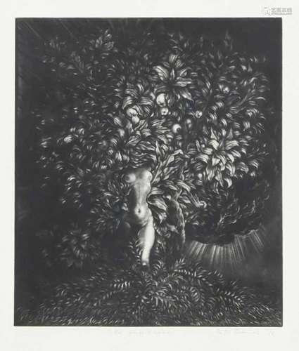 Fritz Bauer (* 1937), ''The Great Daphne'', erotic mezzotint, u. re. hand sign. u. dat. (19)76,