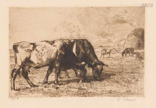 Alexander Eckener (1870-1944): Grazing cows. Etching with drypoint, 1911 u. re.handsigned, 16 x 24