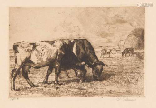Alexander Eckener (1870-1944): Grazing cows. Etching with drypoint, 1911 u. re.handsigned, 16 x 24