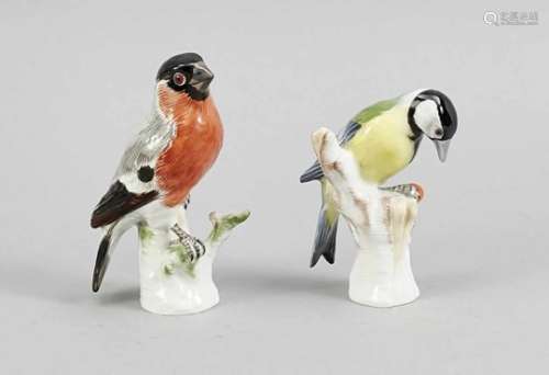 2 birds, KPM Berlin, around 1920, red artist's mark, bullfinch, colorful painted, base andbottom