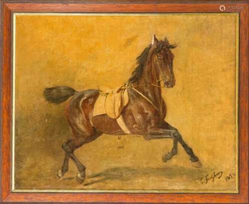 Conrad Freyberg (1842-1915), German horse and battle painter, portrait of a trottinghorse, oil on