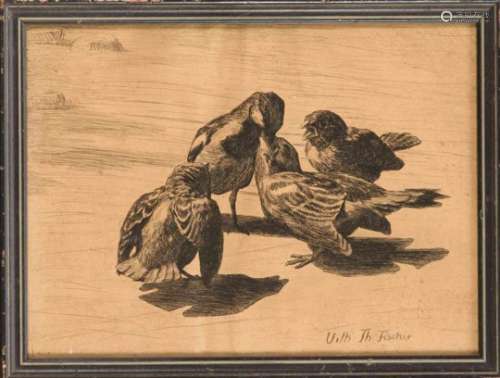 Vilhelm Theodor Fischer (1857-1928). four finches, rare drypoint etching by the Danishpainter, u.