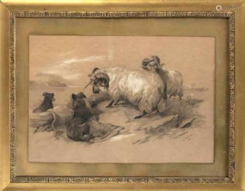 E. Milroy, English artist, 2nd half of the 19th century, coastal landscape with twotethered rams