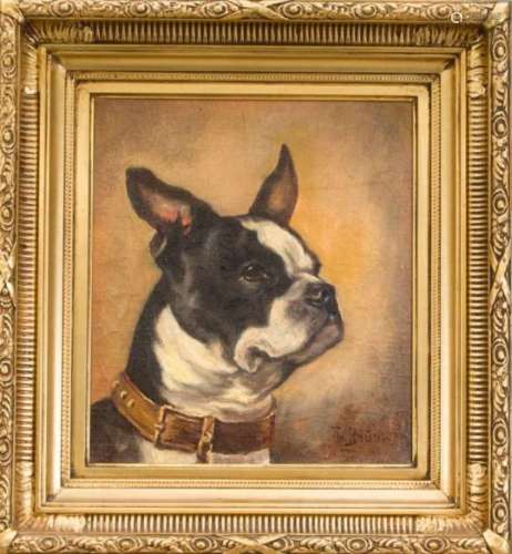 T. Brun, animal painter at the end of the 19th century, portrait of a French bulldog, oilon