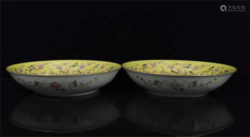 A Pair of Chinese Famille-Rose Porcelain Plates