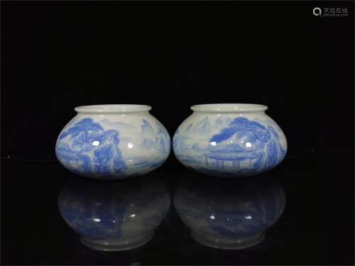 A Pair of Chinese Blue and White Porcelain Water Pots