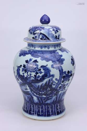 A Chinese Blue and White Porcelain Jar