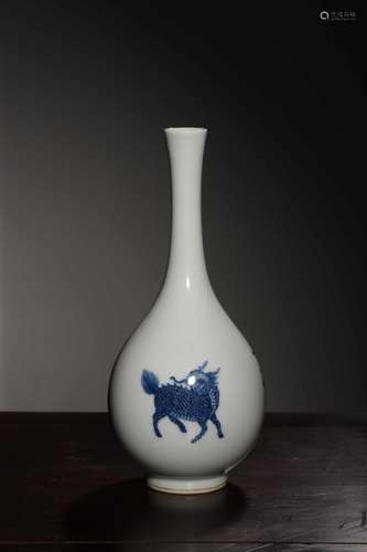 Chinese Blue and White Porcelain Vase,Mark