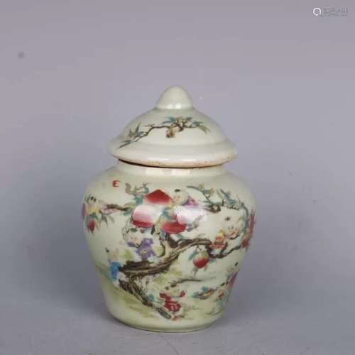 Chinese Famille Rose Porcelain Lid Jar,Mark