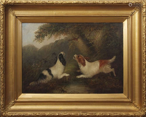 George Armfield (1808-1893), Spaniels chasing pheasant, oil on canvas, signed lower right, 50 x