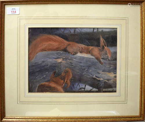 English School (19th/20th Century), Pair of Red Squirrells, oil on paper, 19 x 26cm