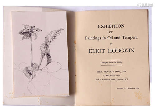 Attributed to Eliot Hodgkin (1905-1987), Botanical study, pencil drawing, 18 x 11cm unframed