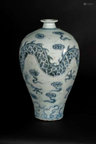 Arte Cinese A meiping vase with dragon China, Qing (?), 19th century or earlier .