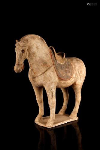 Arte Cinese Terracotta horse modelChina, Tang, 9th century.