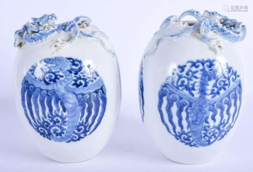 A PAIR OF 19TH CENTURY CHINESE BLUE AND WHITE VASES