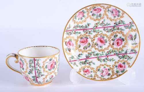 AN 18TH CENTURY SEVRES PORCELAIN CUP AND SAUCER painted