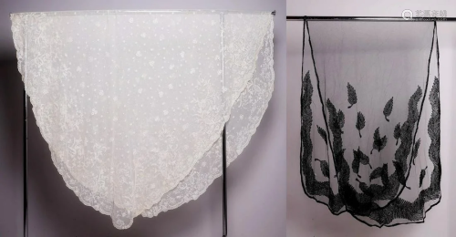 (2) Embroidered Net Lace Portions