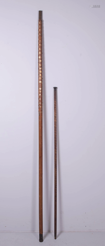 (2) 19th C. Souvenir Walking Sticks