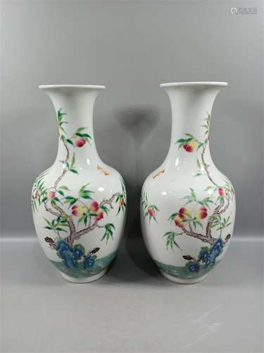 A Chinese Famille Rose Porcelain Vase