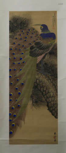 A CHINESE SCROLL PAINTING OF PEACOCK ON THE PINE  BY JU LIAN
