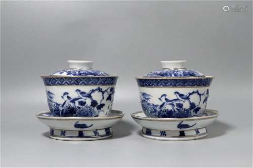 A Pair of Chinese Blue and White Porcelain Bowls with Cover