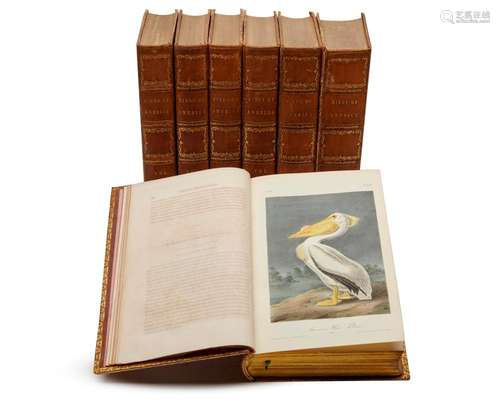 Audubon, John James (1785-1851). The Birds of America, from Drawings Made in the United States and their Territories. New York and Philadelphia: Published by J.J. Audubon and J.B. Chevalier, 1840.