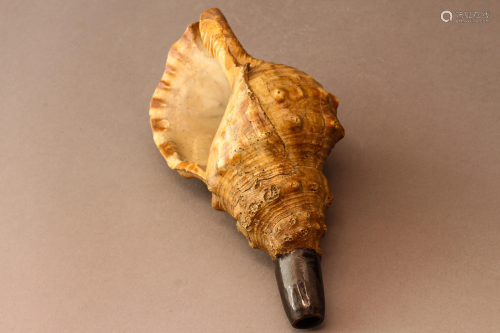 A Tantric Conch Horn