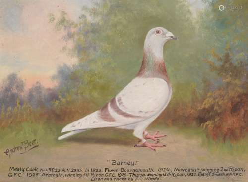 Andrew Beer (British 1862-1954), Barney