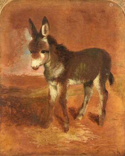 Abel Hold (British fl. 1849-1871), Young donkey