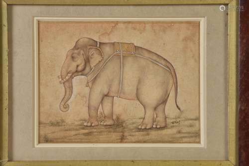 A Mughal style drawing of an Elephant