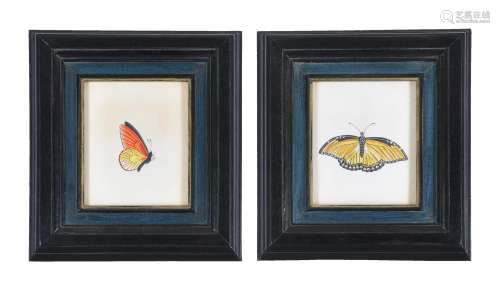 Continental School (19th century) A set of four butterfly studies