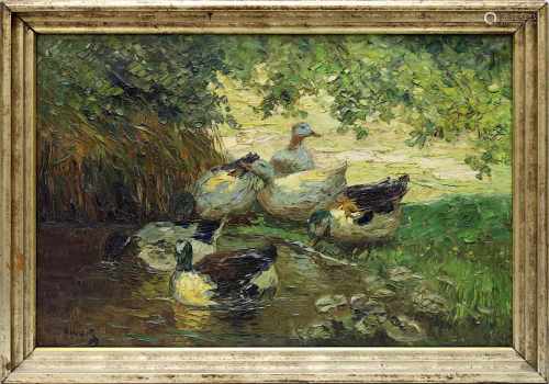 Schwarz, K. Tiermaler 1. H. 20. Jh., Enten im Uferbreich eines Tümpels, lichtdurchflutete idyllische