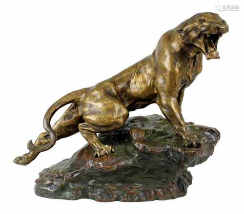 Cartier, Thomas Francois (1879-1943), Brüllende Löwin auf Felsvorsprung, große Bronzeskulptur,