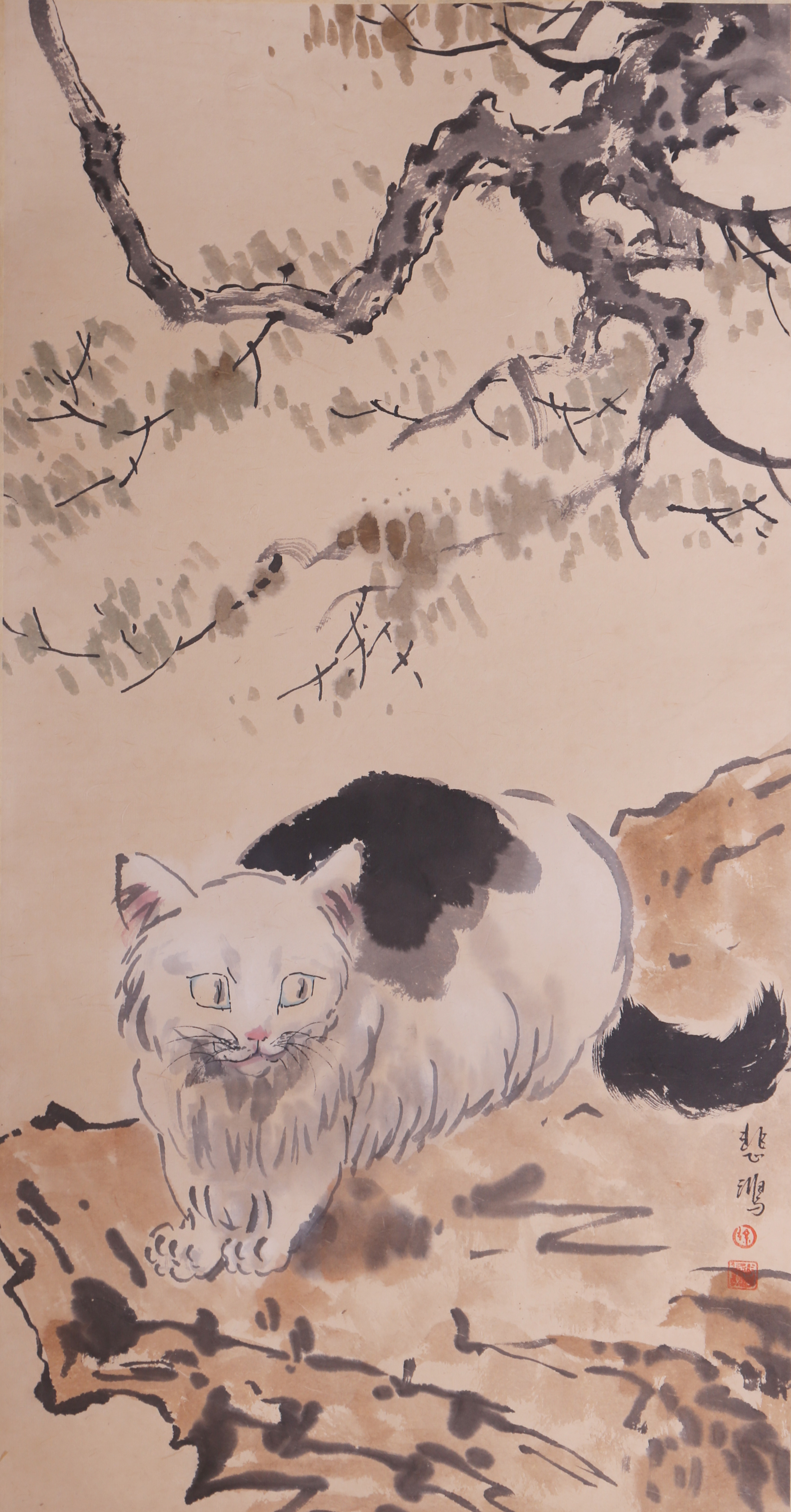 徐悲鸿画的猫全部作品图片