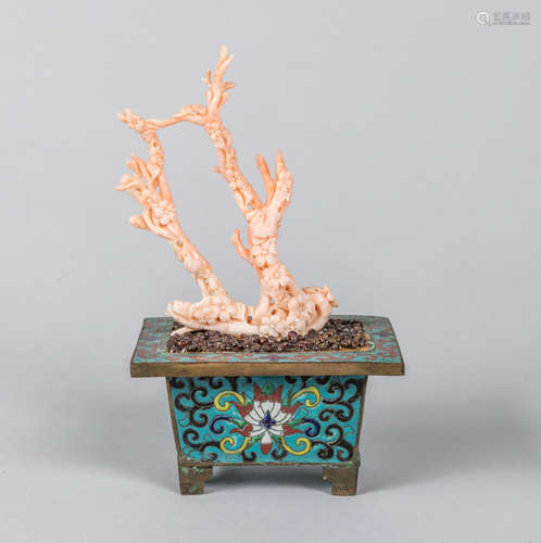 19th Chinese Antique Cloisonne Bonsai