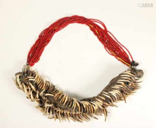 India, Naga, bridal belt;with nails of the anteater and white hart beads, w. 48 cm. [1]500
