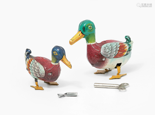 Lot: 2 (Köhler)-Enten