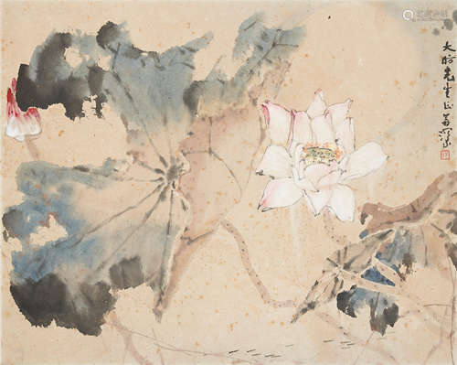 Yang Shanshen (1913-2004)  Lotus