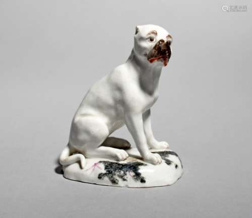 A Strasbourg (Joseph Hannong) porcelain model of a pug dog, c.1770-75, seated on his haunches with