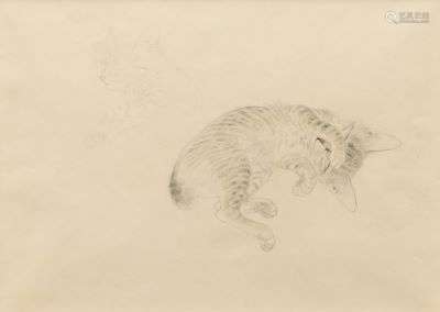 Koichi Takeuchi, Kittens