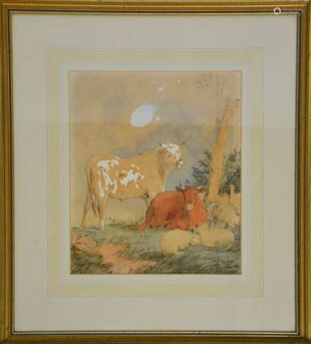 A 19th century watercolour and pencil sketch of cattle and sheep, 29 by 23cm.