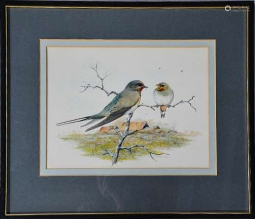 Peter Hayman (20th century): Swallows, watercolour on paper, signed lower right, 23 by 30cm.