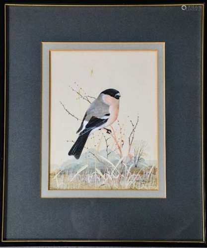 Peter Hayman (20th century): Bull Finch, watercolour on paper, signed lower right, 23 by 18cm.