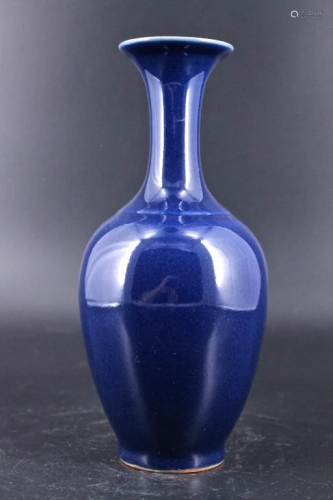 Qing Porcelain Blue Glaze Vase
