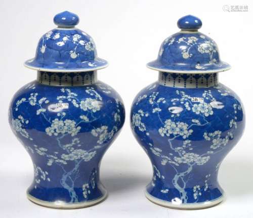Pair of blue and white Chinese porcelain vases dec…