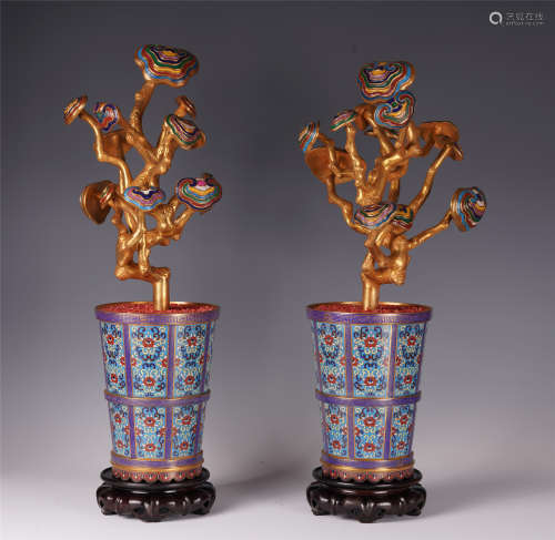 A PAIR OF CHINESE GILT BRONZE IN CLOISONNE BASIN