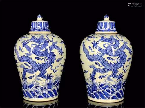 A Pair of Chinese Blue and White Porcelain Plum Vase